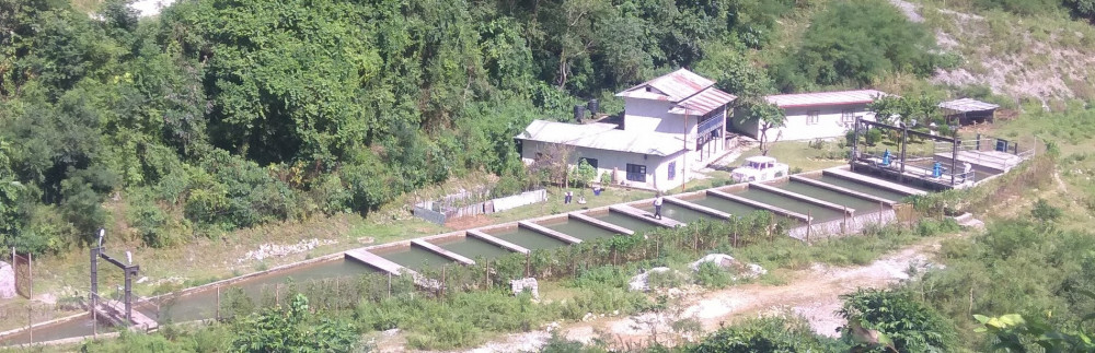 अरुण कावेली पावरको साधारणसभा आह्वान, १७ प्रतिशत बोनशपश्चात शतप्रतिशत हकप्रद जारी गर्ने प्रस्ताव