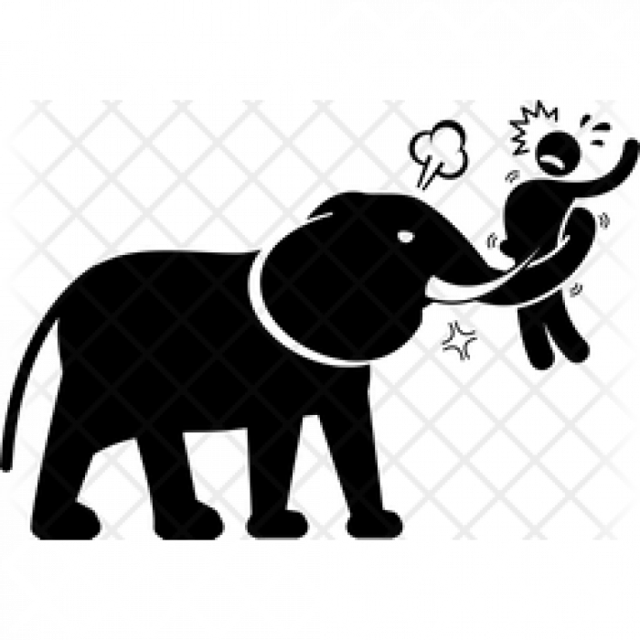 जंगली हात्तीको आक्रमणमा परी एक जनाको मृत्यु