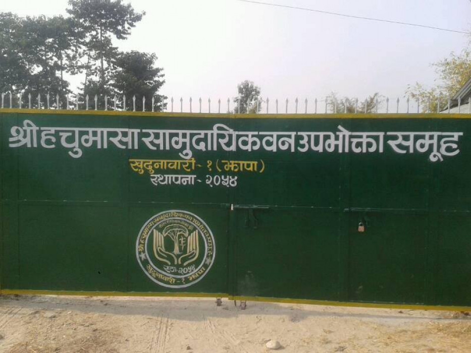 हचुमासा वन अध्यक्ष पदमा ४ जनाको उम्मेदवारी, २६ गते निर्वाचन हुने