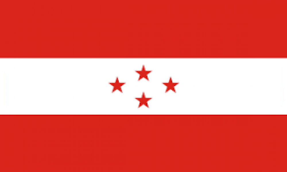 इलाम १२ मा नेपाली कांग्रेसको प्यानल विजयी