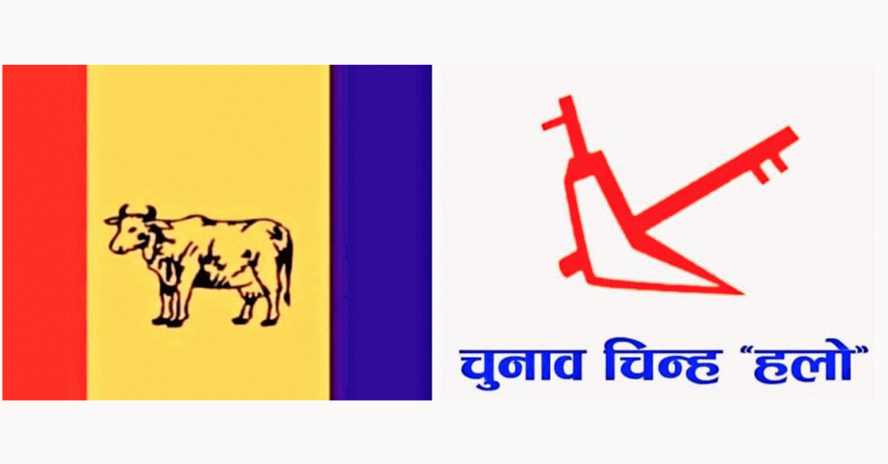 हल्दिबारी-१ मा राप्रपाको प्यानल विजयी