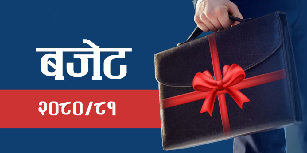 संघीय संसद्का दुवै सदनबाट बजेट पारित