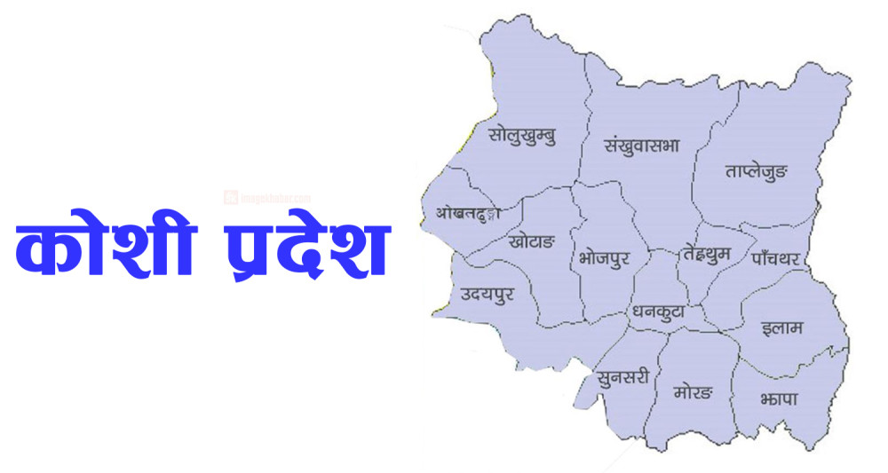 कोशीमा मन्त्रीमण्डल विस्तार, एमाले सरकारबाट बाहिरिने