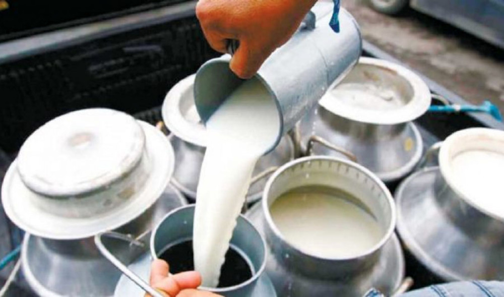 कोशीमा दुग्धजन्य पदार्थ निर्यातमा अनुदान दिने मापदण्ड लागू
