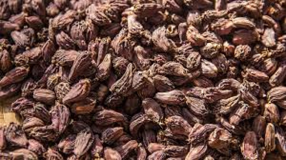 अलैँची निर्यात बढ्यो, चिया घट्यो